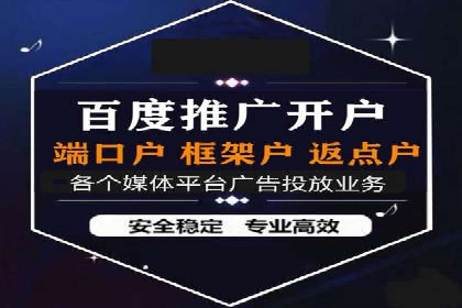 SEM搜索引擎优化成功案例，揭示优化策略与技巧